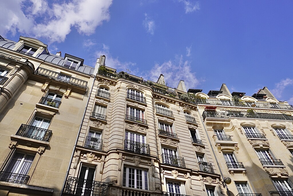 Looking up, breathing in the sunshine & blue skies… by beverley365