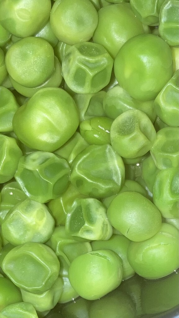 Green Peas  by spanishliz