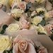 Roses galore! by happyteg
