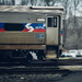 septa by eleven24