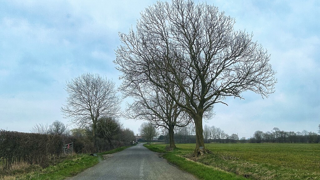 Country Lane by carole_sandford