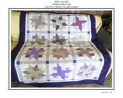 6th Mar 2024 - Quilt Top