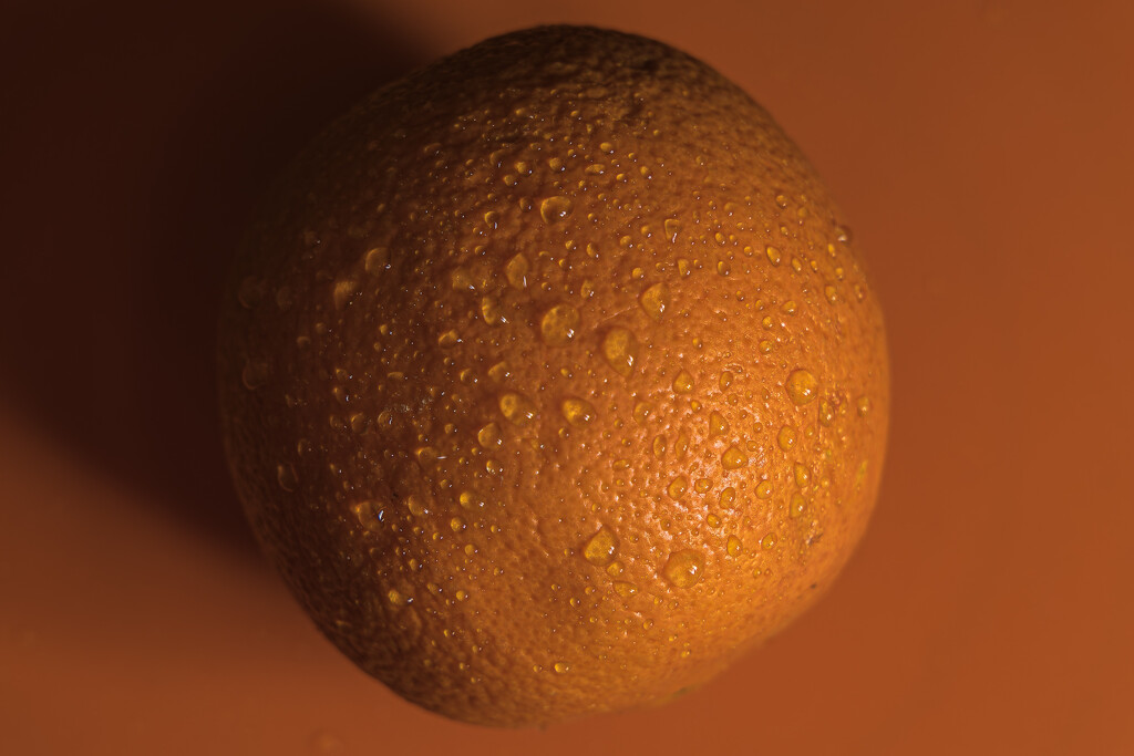 An Orange on Orange by swchappell