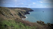 7th Mar 2024 - Bolberry Down, South Devon