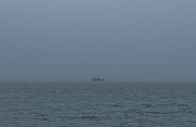 7th Mar 2024 - Fishing in the Mist-2