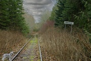 7th Mar 2024 - Abandoned Railline