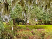 8th Mar 2024 - Middleton Place Gardens, Charleston 