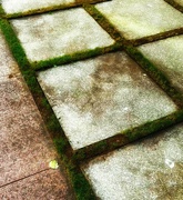 8th Mar 2024 - Concrete and grass 