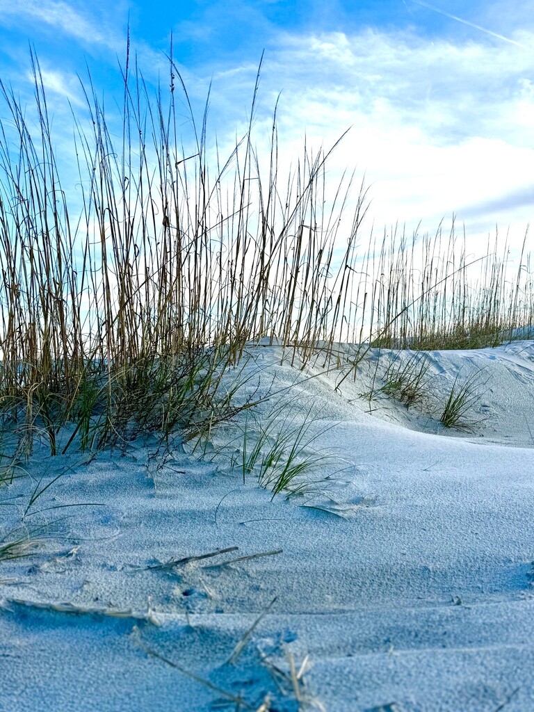 Sand Dunes by k9photo