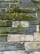 1st Mar 2024 - Tudor Rose on a wall in Warwick