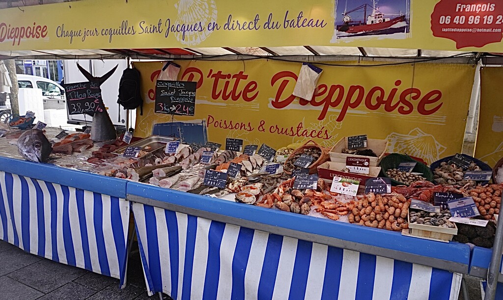 A welcome site, fresh produce market on my way to school.  by beverley365