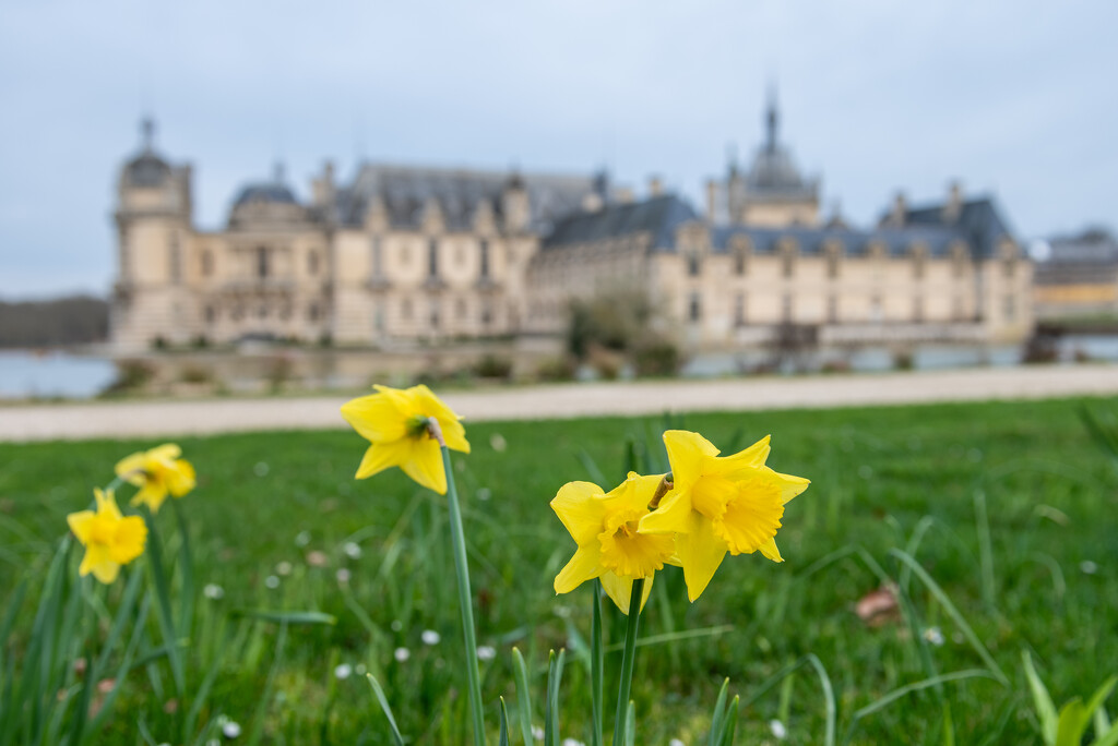 Chateau du Chantilly by kwind