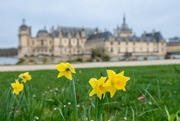 8th Mar 2024 - Chateau du Chantilly