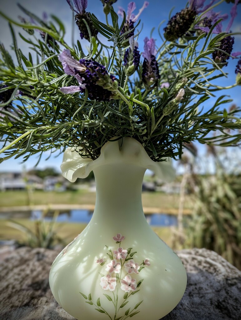 Lavender in Uranium Vase  by photohoot