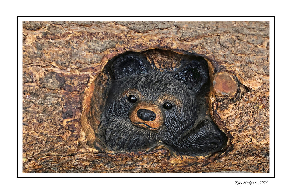 Bear Carving by kbird61