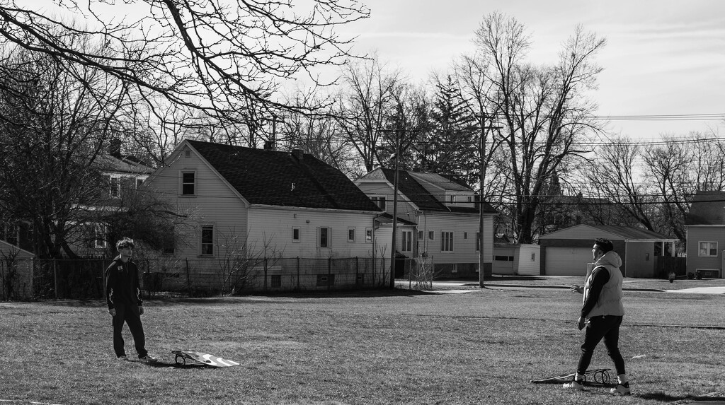 Cornhole by darchibald