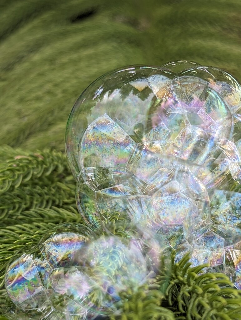 Rainbow Bubbles  by photohoot