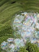 8th Mar 2024 - Rainbow Bubbles 
