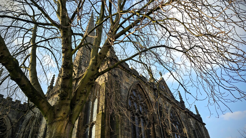 68/366 - Sheffield Cathedral  by isaacsnek