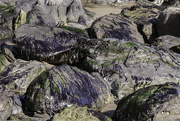 3rd Mar 2024 - Beach rocks