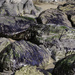 Beach rocks by helenhall