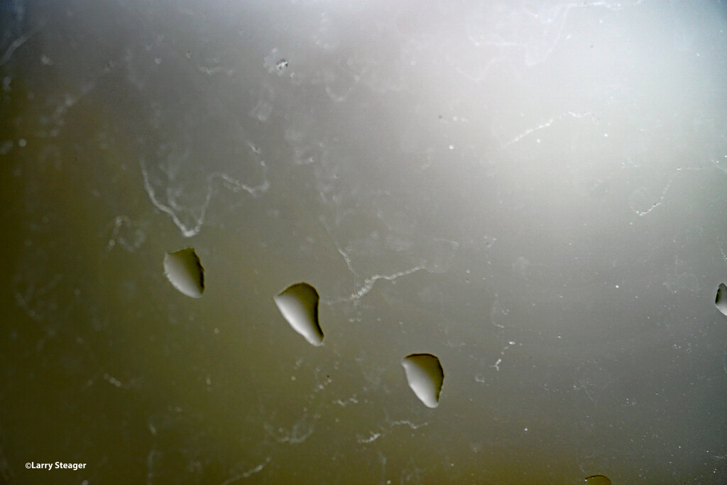 Rain drops on the window by larrysphotos