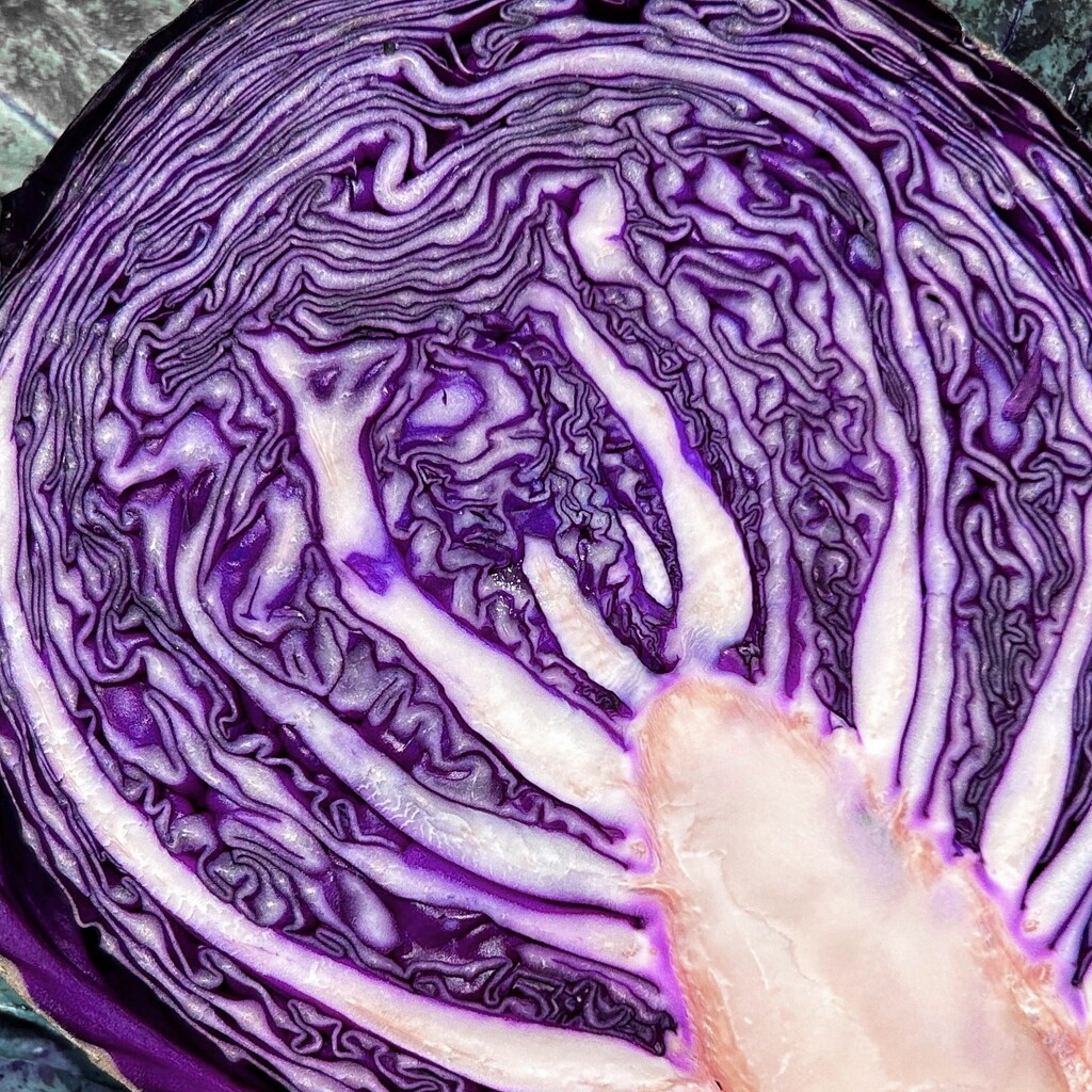 Faffed Red Cabbage.... by merrelyn