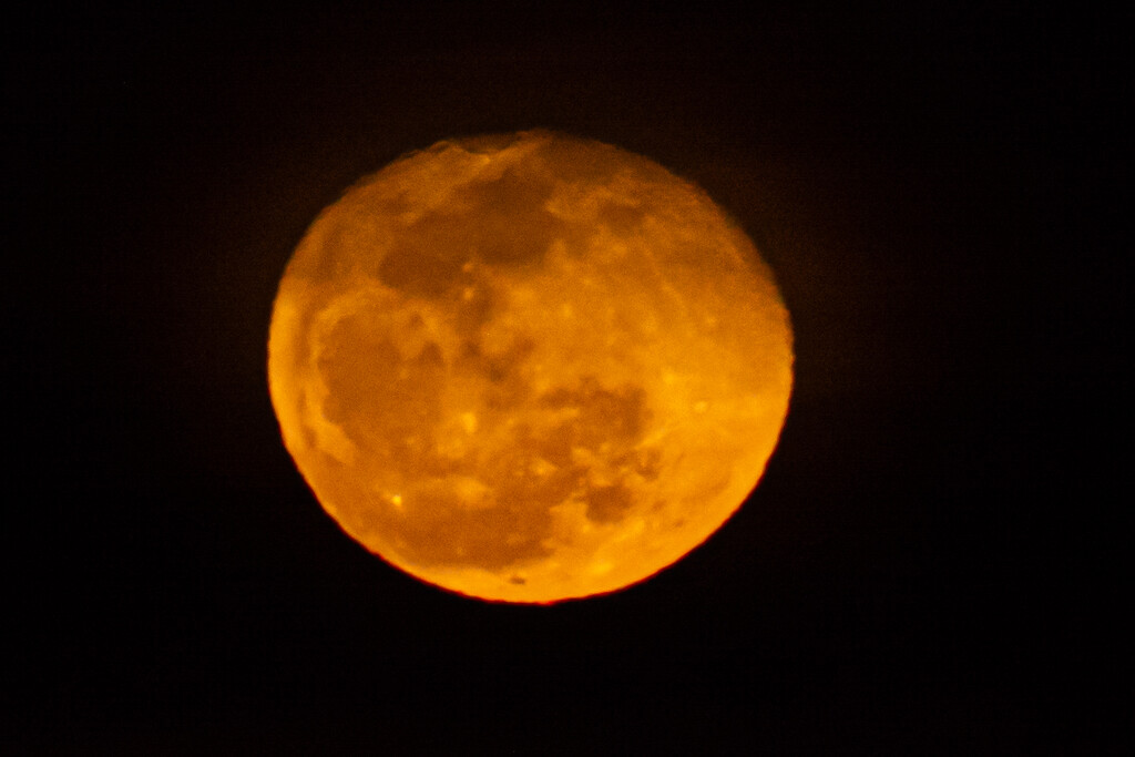 An orange moon... by thewatersphotos