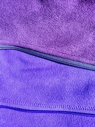 9th Mar 2024 - Layers of purple