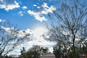 8th Mar 2024 - 3 8 Clouds, trees, sun
