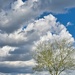 3 8 Clouds and tree by sandlily