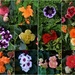 Collage Of Flowers ~ by happysnaps