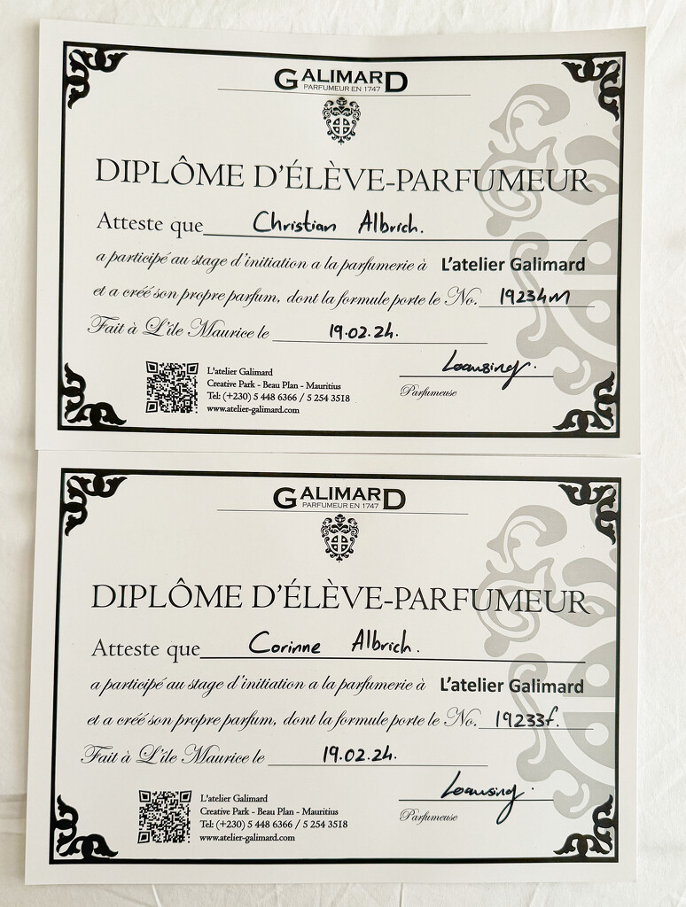 Funny diploma.  by cocobella