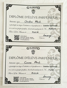 10th Mar 2024 - Funny diploma. 