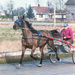 Harness Racer by cdcook48