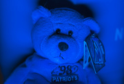8th Mar 2024 - Blue Bear