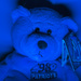 Blue Bear by swchappell