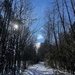 Crunchy Snow by sunnygreenwood