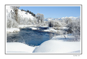 9th Mar 2024 - Beautiful Frosty River