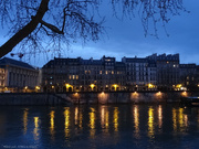 8th Mar 2024 - gold in the Seine