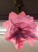 10th Mar 2024 - Paper Roses