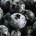 Hannaford Blueberries by paintdipper