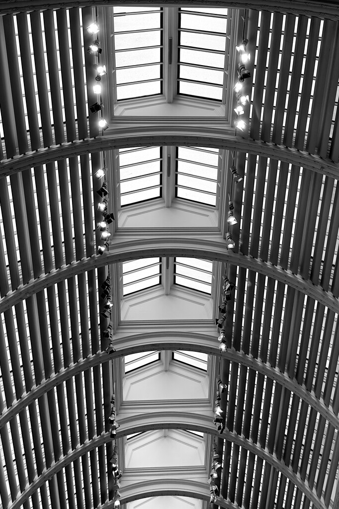 V&A ceiling  by mr_jules