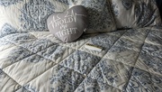 10th Mar 2024 - Love this pillow.