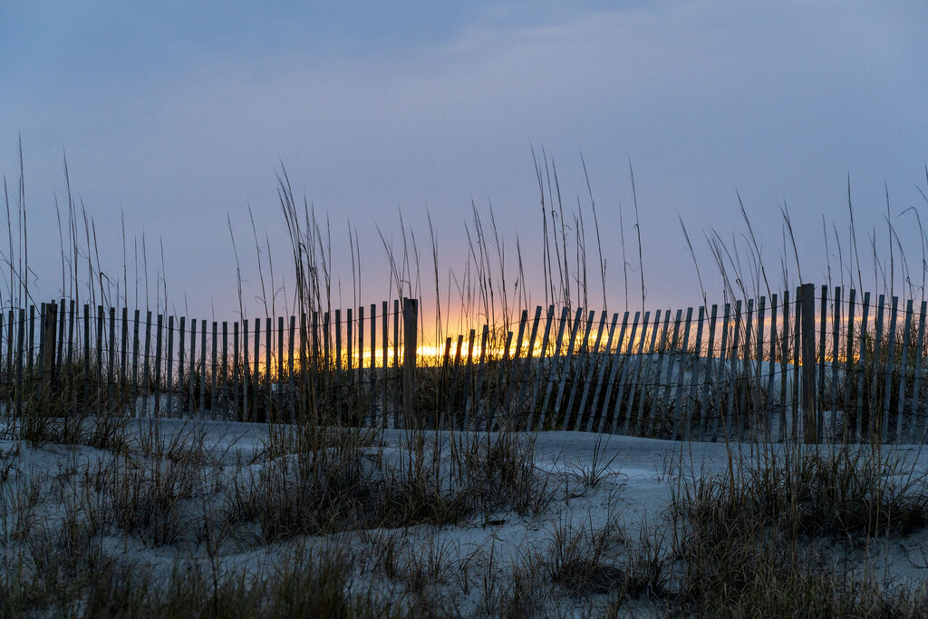 Sea Oat Sunrise by kvphoto