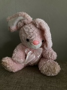 10th Mar 2024 - Pink Bunny 