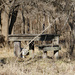 Very old artist table in the woods by larrysphotos