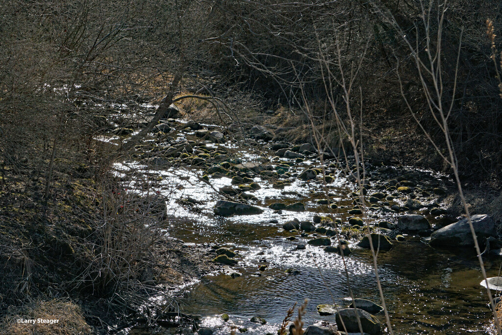 Flowing water in the creek by larrysphotos