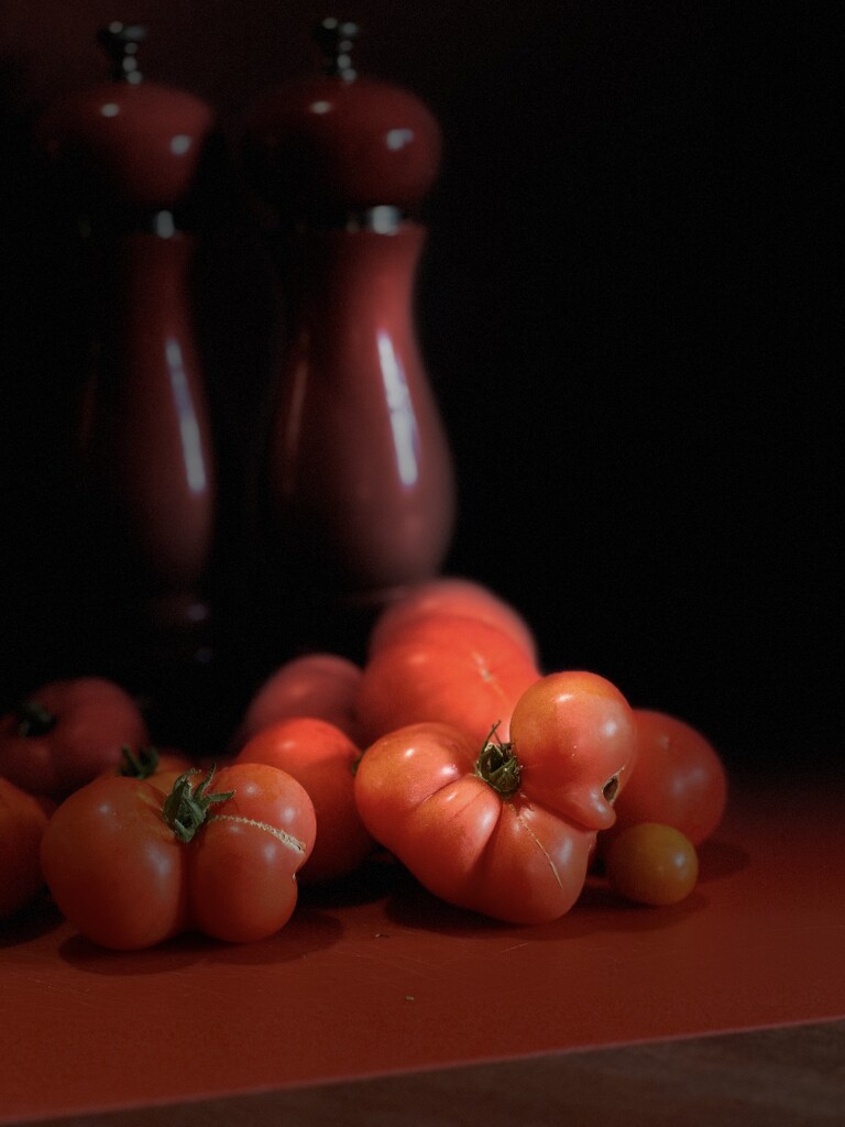 Red tomato by pusspup