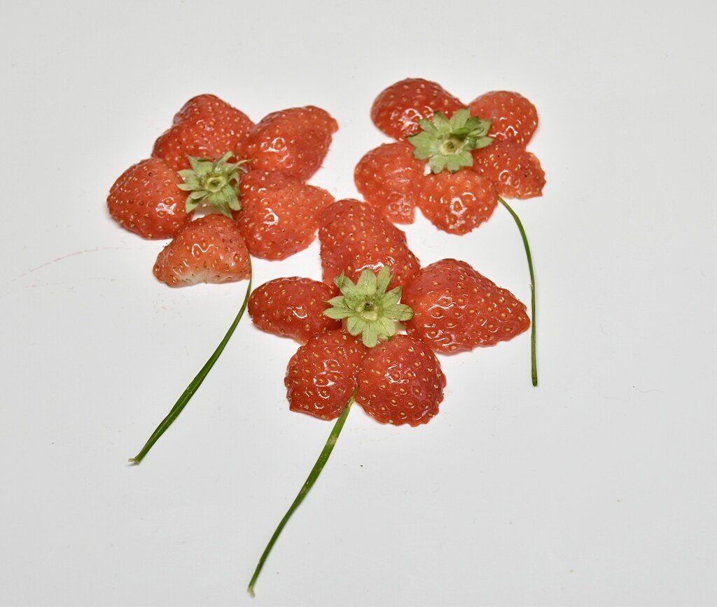Fruity flowers by wakelys